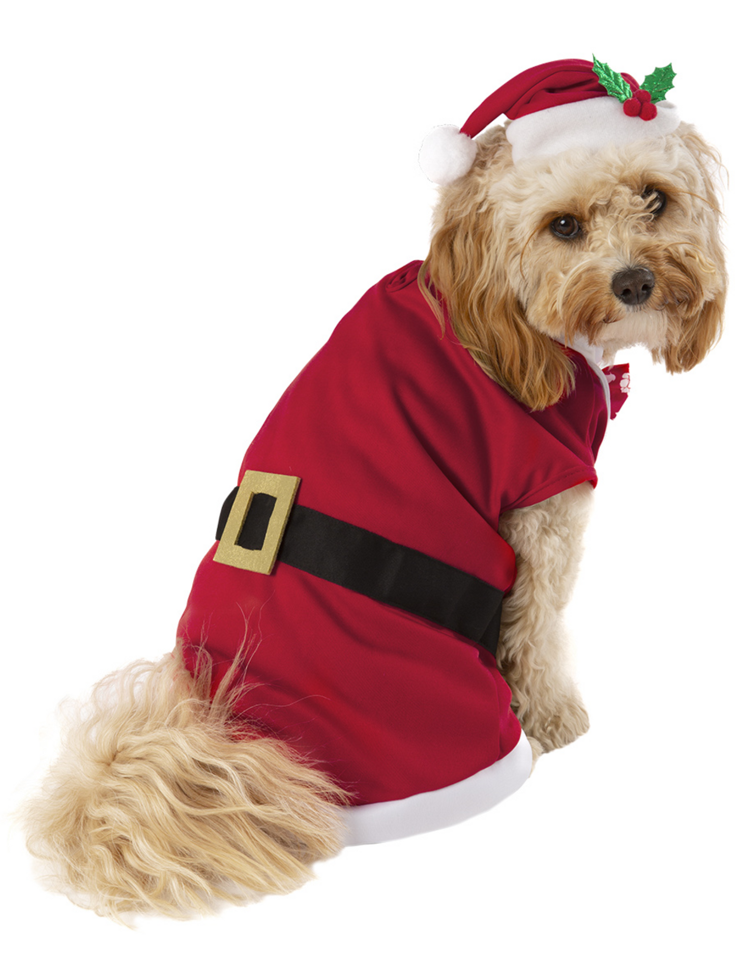 Dog Aussie Christmas Costume