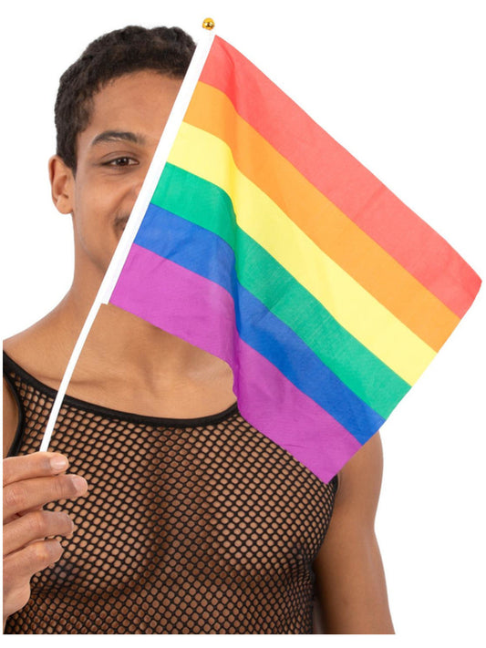 Hand Held Rainbow Flags 45x30cm 12Pk