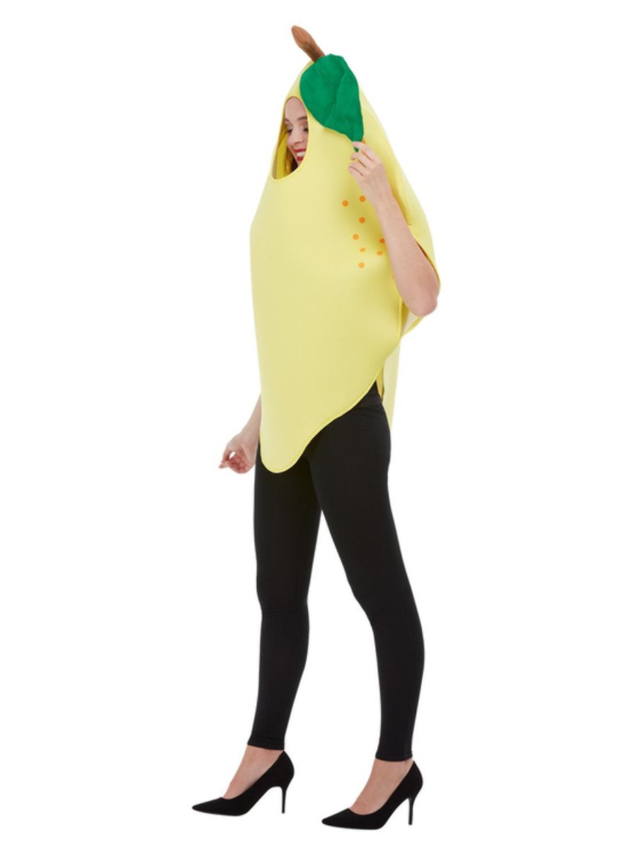 Lemon Costume Wholesale