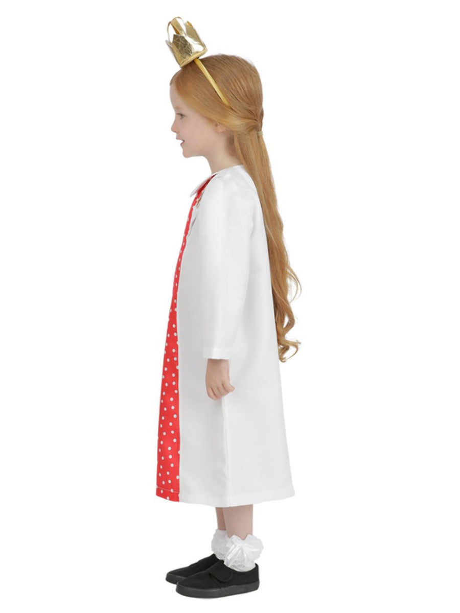 Julia Donaldson Zog Princess Pearl Costume Wholesale