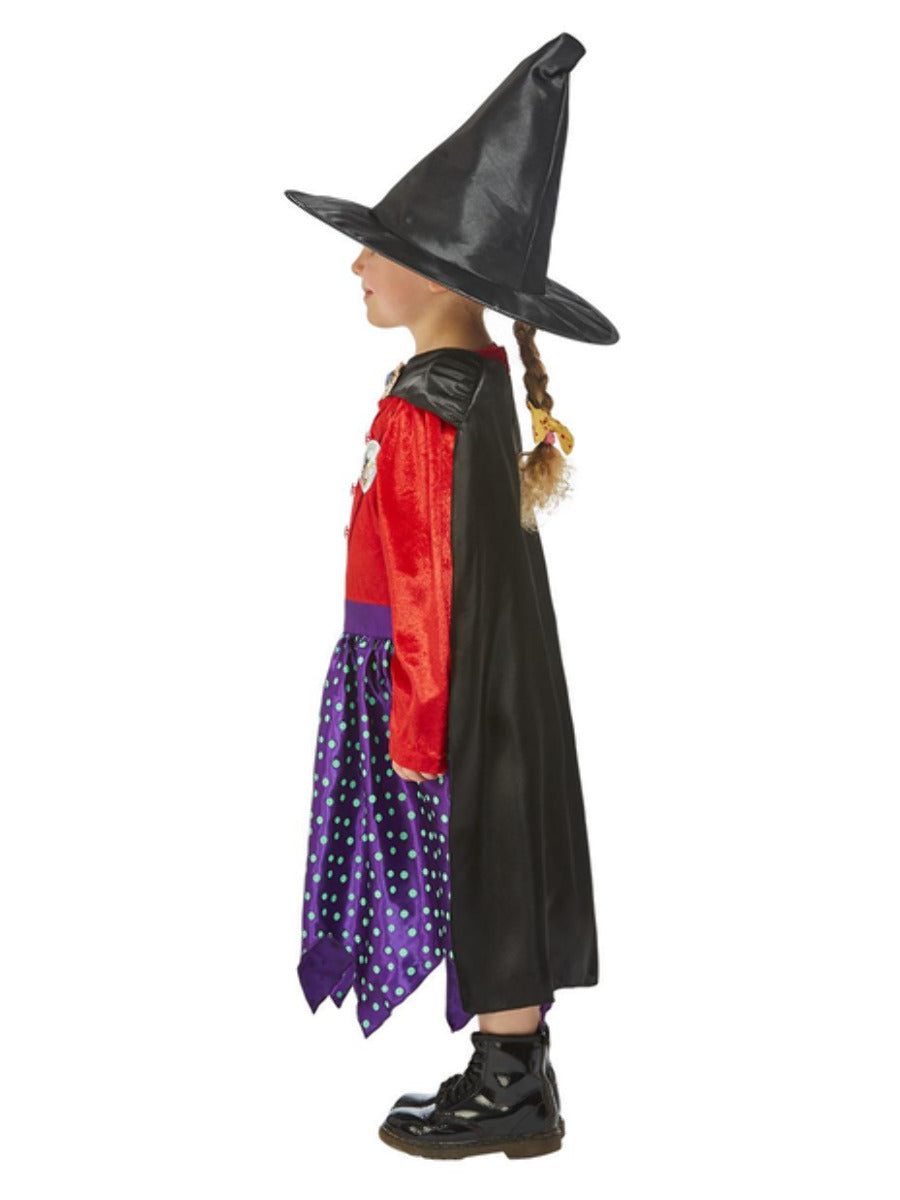 Julia Donaldson Room On The Broom Costume WHOLESALE Side