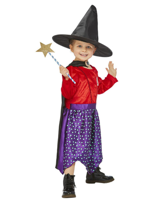 Julia Donaldson Room On The Broom Costume WHOLESALE