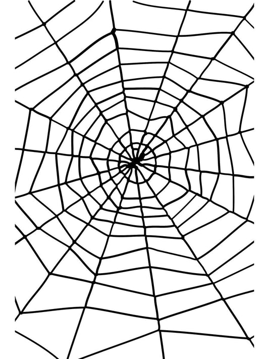 Spider & Spiders Web Wholesale